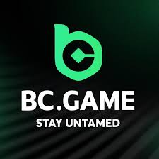 Guide to BC.Game VN Registration Step-by-Step Process